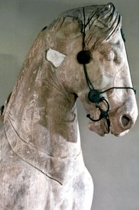 Pferd, Quadriga des Mausoleums von Halikarnassos, 350 v. Chr. von Unbekannt