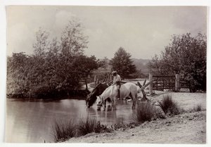 Pferde trinken an einem Teich, um 1890