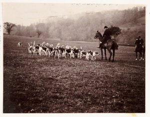 Jäger und Hunde, um 1905 von Unbekannt