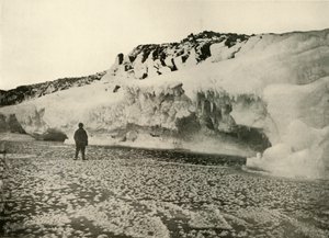 Eisblumen auf neu gebildetem Meereis zu Beginn des Winters, ca. 1908, 1909 von Unbekannt