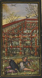Illustration für Die wunderbare Sommerzeit des ewigen Lebens von Jacob Zader, 1603 von Unbekannt