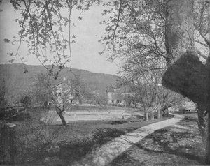 In den Catskill Mountains