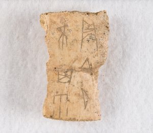 Beschriftetes Knochenfragment Orakelknochen