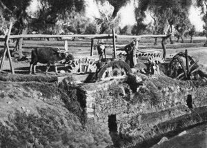 Bewässerung der Felder nahe Kairo, Ägypten