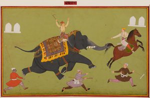 Jai Singhs Elefant Pakhrao, der durchdreht und ein Pferd am Schwanz packt, um 1680