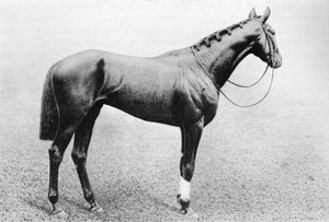 Dschidda, 1895-1909, 1911