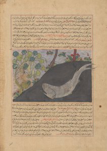 Jona und der Wal, Folio aus einem Majma