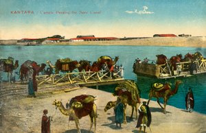 Kantara - Kamele passieren den Suezkanal, um 1918-1939 von Unbekannt