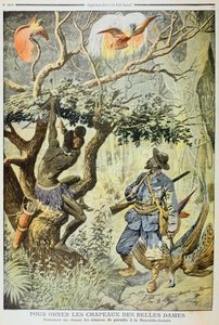 Tötung von Paradiesvögeln, Neuguinea, 1908