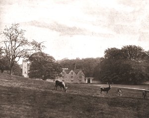 Knole Park, Sevenoaks, Kent
