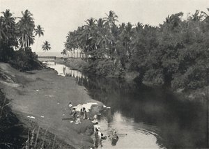 Landschaft am Fluss bei Dehiwala, zwischen Colombo und Mount Lavinia, 1926 von Unbekannt