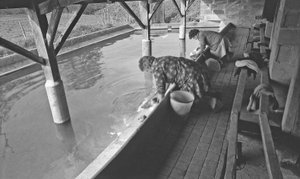 Wäscherin in einem Dorf in Frankreich 1966 von Unbekannt