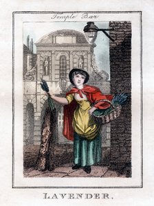 Lavendel, Temple Bar, London, 1805