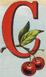 Buchstabe C: Kirschen. Gravur in "Alphabet de ma petite fille". Bernardin-Bechet und Fils, Buchhändler-Verleger, Paris, um 1895. Unzerbrechliches Album auf Leinwand. Bibliotheque des Bebes. 12 Seiten. Album mit einer Lesemethode und einem illustrierten Abe von Unbekannt