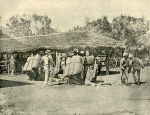 Kamele beladen, auf einer australischen Station, 1901 von Unbekannt