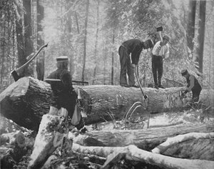 Holzfällerei am Ottawa River, Kanada, ca. 1897