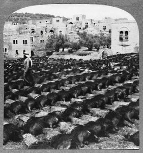 Herstellung von Weinflaschen, Hebron, ca. 1900
