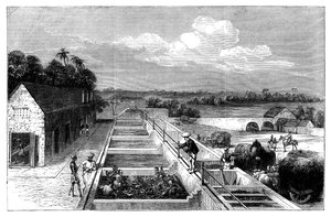 Indigoherstellung in Tirhoot Muzaffarpur, Unterbengalen, 1869 von Unbekannt