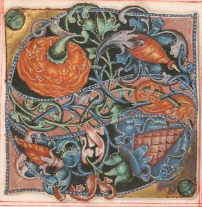 Manuskript-Illumination mit Initiale S, aus einem Chorbuch, 16. Jahrhundert von Unbekannt
