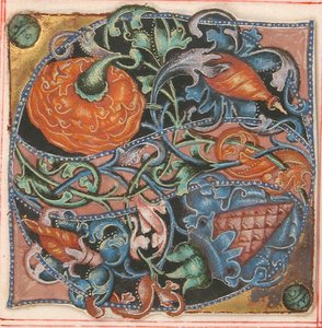 Manuskript-Illumination mit Initiale S, aus einem Chorbuch, Deutsch, 16. Jahrhundert von Unbekannt