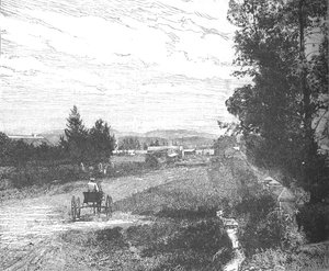 Market Street, Pretoria, ca. 1880er Jahre von Unbekannt