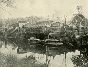 Fleischwerke, in der Nähe von Grafton, New South Wales, 1901 von Unbekannt