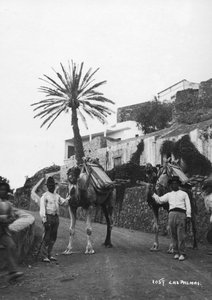 Männer mit Kamelen, Las Palmas, Gran Canaria, Kanarische Inseln, Spanien, ca. 1920er-1930er Jahre