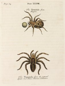 Mikroskopie