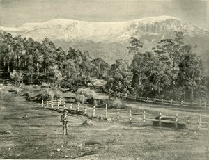 Mount Wellington, von der Huon Road, 1901 von Unbekannt