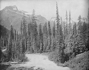 Berge Cheops und Hermit, Selkirk Range der Rockies, 1897