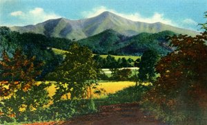 Mr. Pisgah und die Ratte in der Ferne, West-North Carolina, 1942