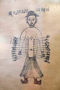 Museum für traditionelle vietnamesische Medizin, Die Kanäle und Gefäße, Buch der Akupunktur, Ho-Chi-Minh-Stadt, Vietnam