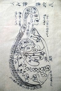 Museum für traditionelle vietnamesische Medizin, Die Kanäle und Gefäße, Buch der Akupunktur, Ho-Chi-Minh-Stadt, Vietnam