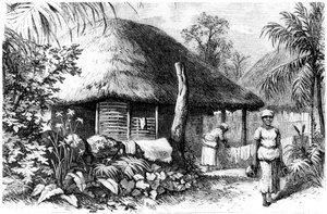 Einheimische Behausung, Santo Domingo, 1873