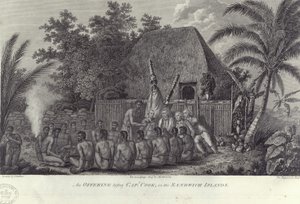 Eingeborene der Sandwichinseln, Hawaii, schlachten Schweine vor Kapitän Cook, ca. 1778
