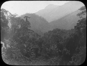 In der Nähe von Petrópolis, Rio de Janeiro, Brasilien, spätes 19. oder frühes 20. Jahrhundert