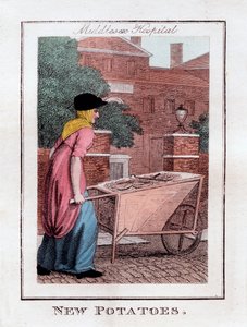 Neue Kartoffeln, Middlesex Hospital, London, 1805