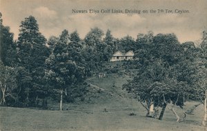 Nuwara Eliya Golf Links, Abschlag am 7. Tee, Ceylon, um 1900 von Unbekannt