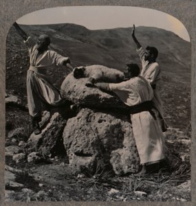 Opfergabe eines Lammes auf dem Altar, Moreh, ca. 1900