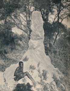 Einer der riesigen Ameisenhügel, die in einigen Gegenden Südafrikas vorkommen, um 1900
