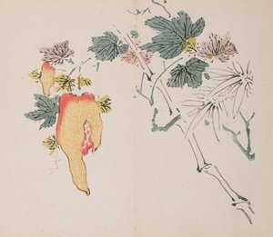 Seite aus Shi Zhu Zhai