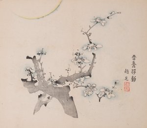Seite aus Shi Zhu Zhai von Unbekannt