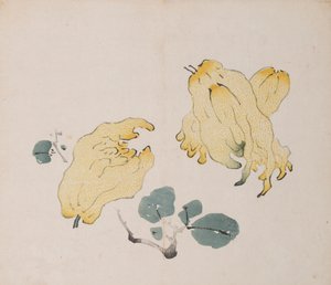 Seite aus Shi Zhu Zhai von Unbekannt