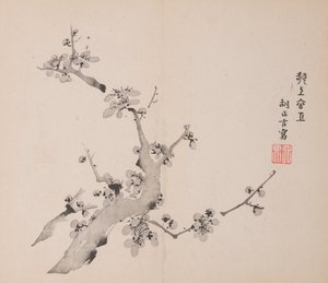 Seite aus Shi Zhu Zhai von Unbekannt