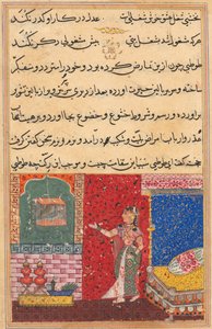 Seite aus Geschichten eines Papageis Tuti-nama: Fünfzehnte Nacht: Der Papagei spricht zu Khujasta..., 1558-156