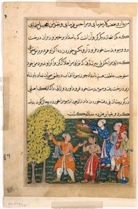 Seite aus Geschichten eines Papageis Tuti-nama: Neunte Nacht: Der König pflückt Früchte vom Baum..., ca. 156 von Unbekannt