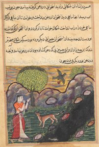 Seite aus Geschichten eines Papageis Tuti-nama: Sechzehnte Nacht: Die Schwiegertochter..., ca. 1560 von Unbekannt