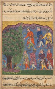 Seite aus Geschichten eines Papageis Tuti-nama: Sechste Nacht: Sieben Männer streiten um den Besitz, ca. 1560