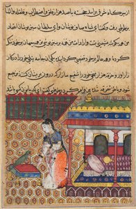 Seite aus Geschichten eines Papageis Tuti-nama: Achtunddreißigste Nacht: Der Papagei spricht Khujasta an, ca. 1560