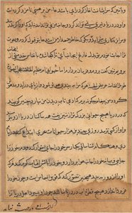 Seite aus Geschichten eines Papageis Tuti-nama: Textseite, ca. 1560 von Unbekannt